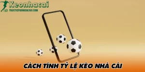 Cách Tính Toán Tỷ Lệ Kèo Nhà Cái Và Đánh Giá Độ Chính Xác 13 Tính Toán Tỷ Lệ Kèo Nhà Cái Tructiepbongda360