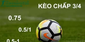 Tỷ Lệ Kèo Là Gì? Tại Sao Nó Quan Trọng Trong Cá Cược? 1 Tỷ lệ kèo là gì tructiepbongda360