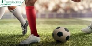 Cách chuyển đổi Odds Châu Âu sang Châu Á cực dễ 8 Lưu ý cách chuyển đổi Odds Châu Âu sang Châu Á