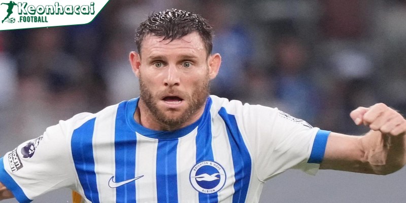 Brighton là đội bóng đang có phong độ rất tốt trong giải đấu